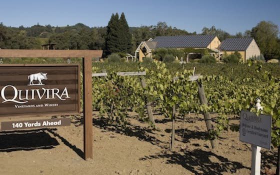Quivira Wine