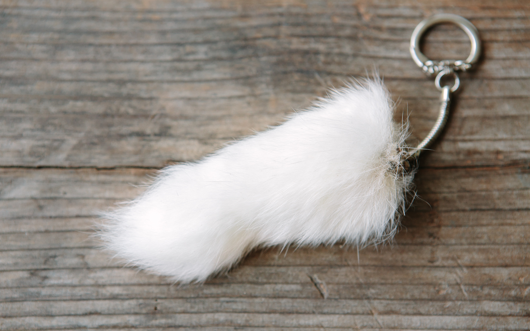 Lucky Rabbit's Tail Keychain Devil's Gulch Ranch SF Bay Good Eggs