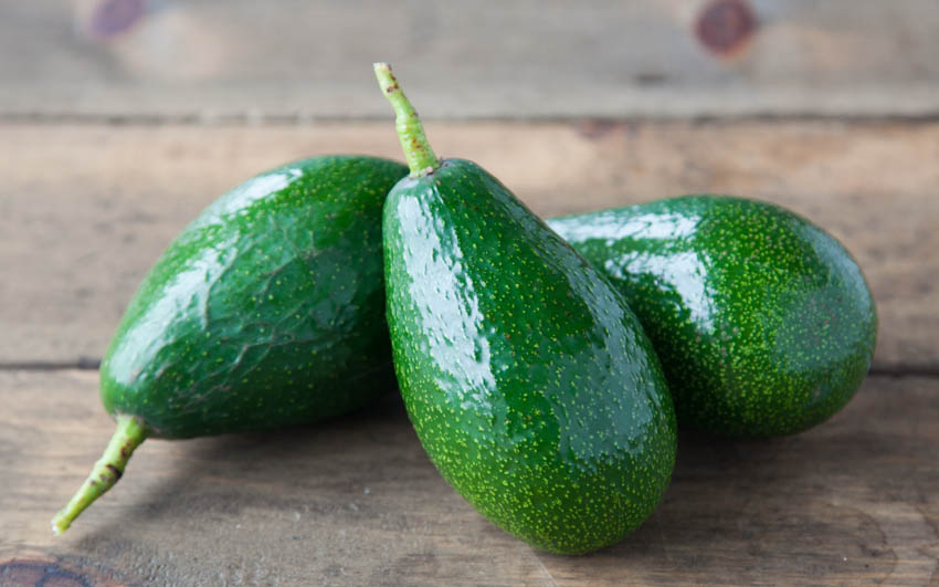 Organic Jumbo Zutano Avocado Duo From Our Farmers SF Bay Good Eggs