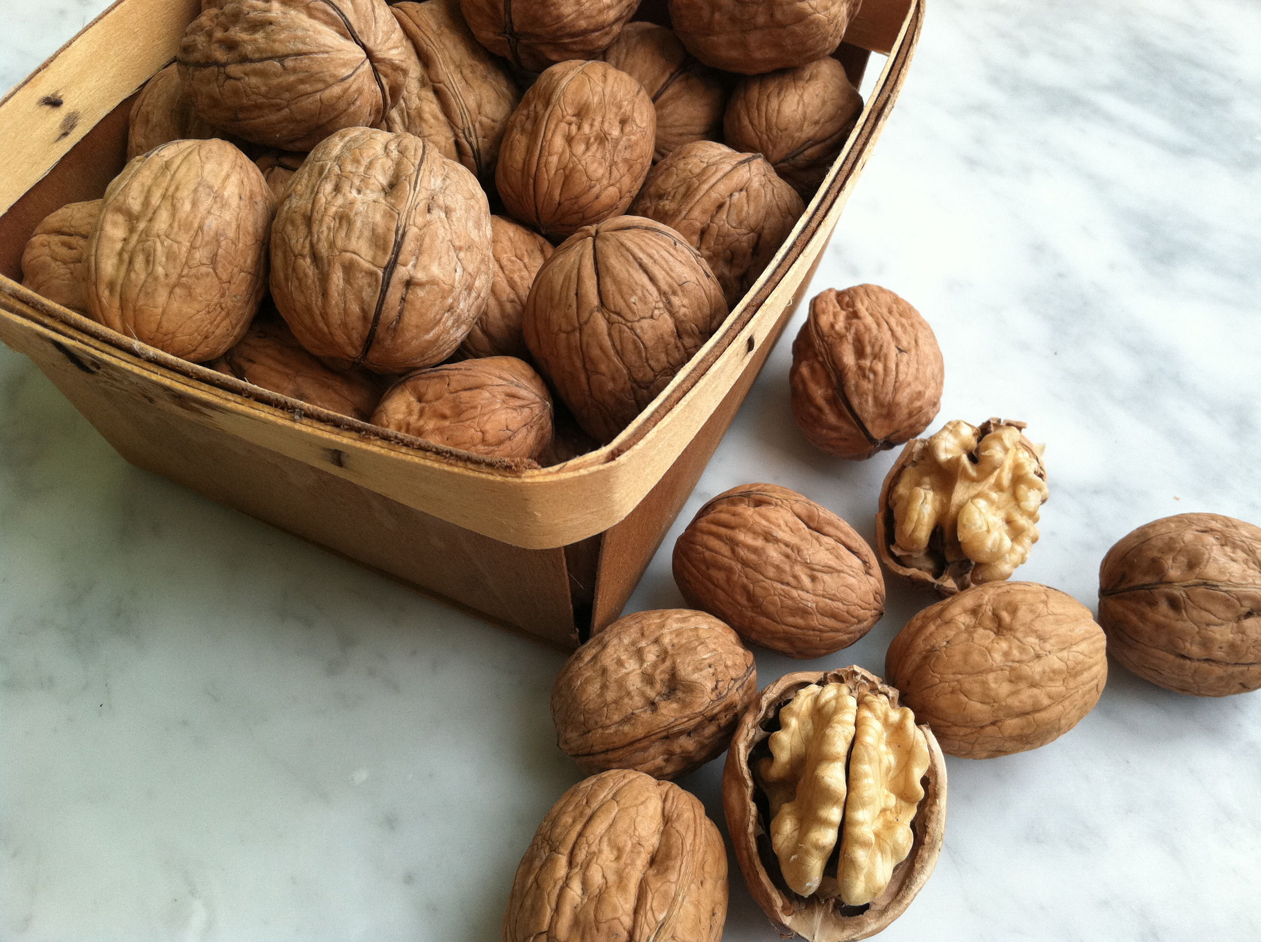 Chandler Walnuts In Shell Yolo Farmstand SF Bay Good Eggs