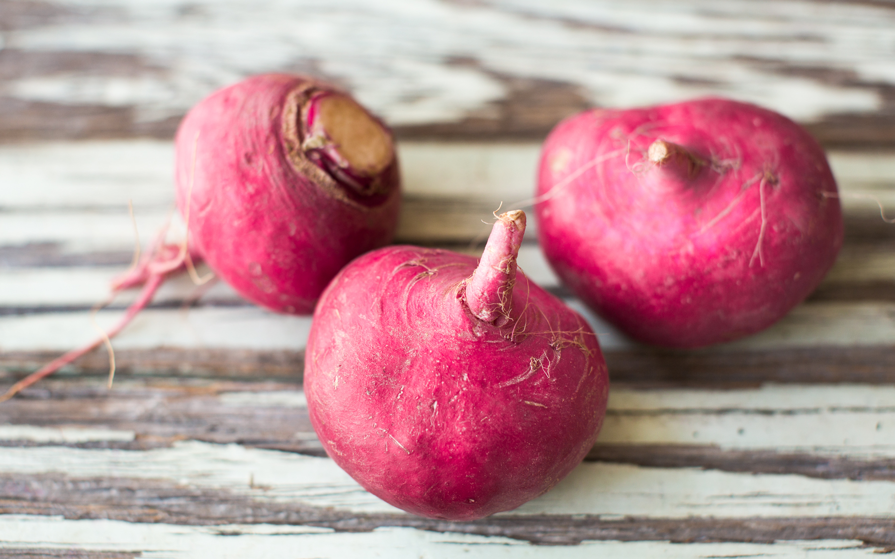 Organic Loose Scarlet Queen Turnips - Riverdog Farm - SF Bay | Good Eggs