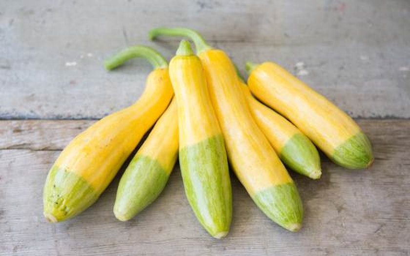 organic zephyr squash live earth farm sf bay good eggs