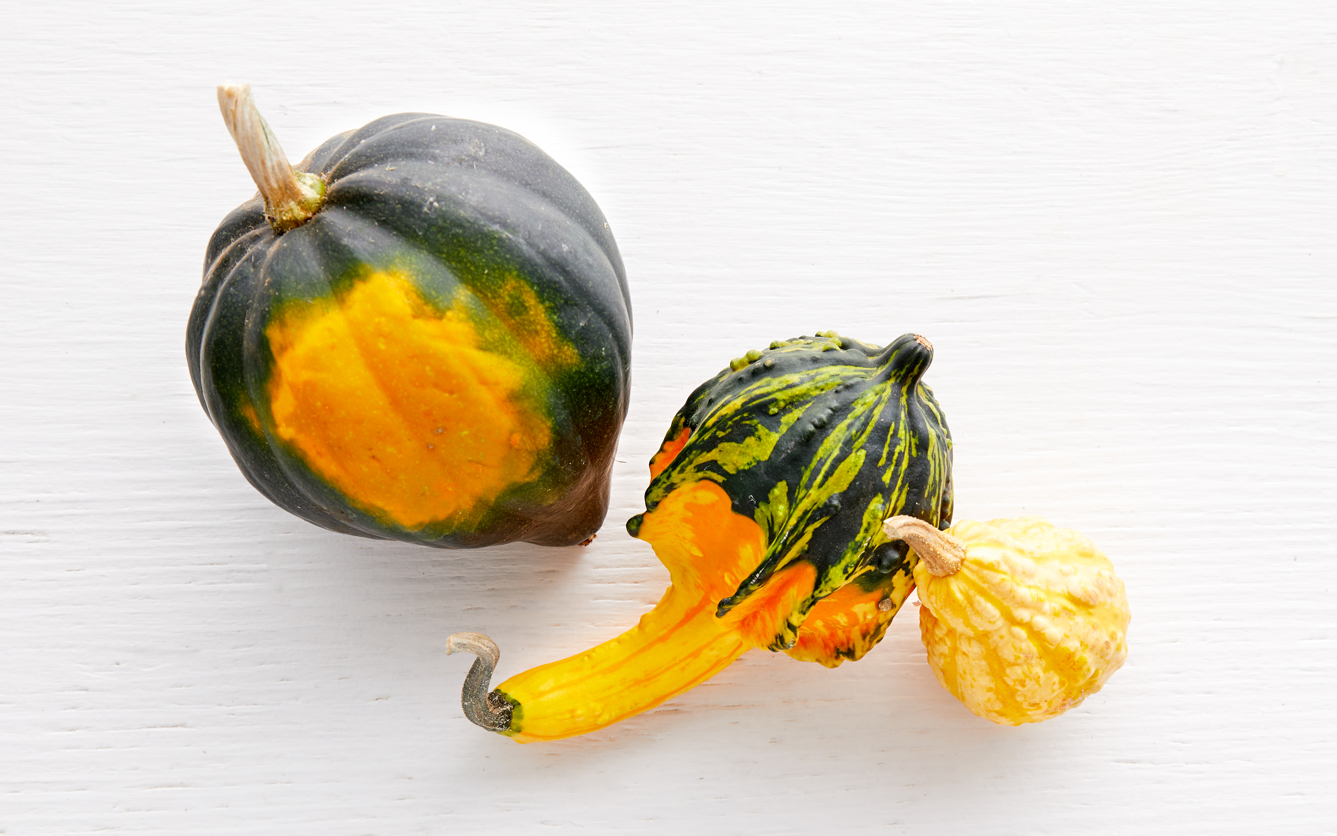 Decorative Gourd Repetto Nursery Sf Bay Good Eggs