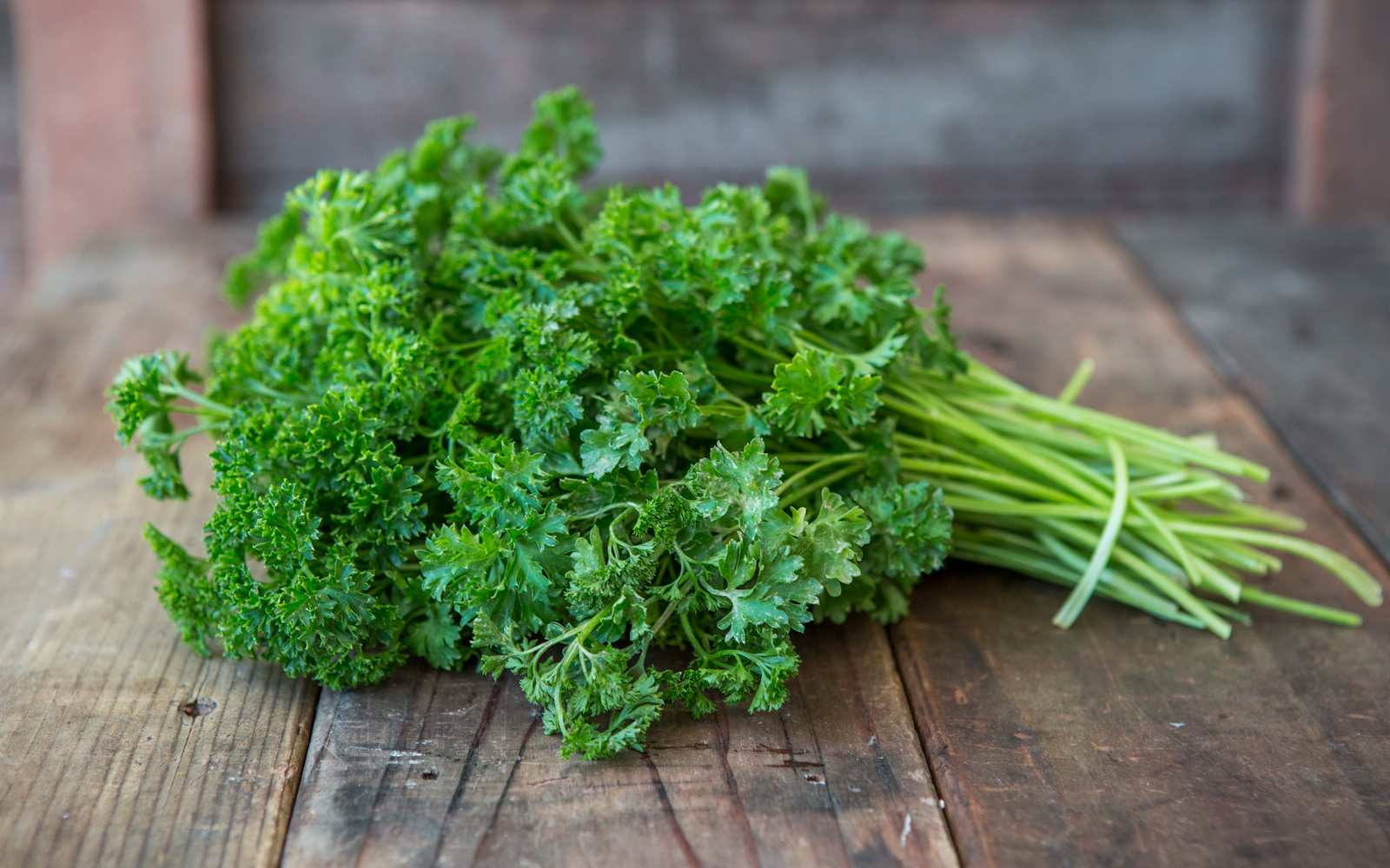 Organic Curly Parsley Veritable Vegetable SF Bay Good Eggs