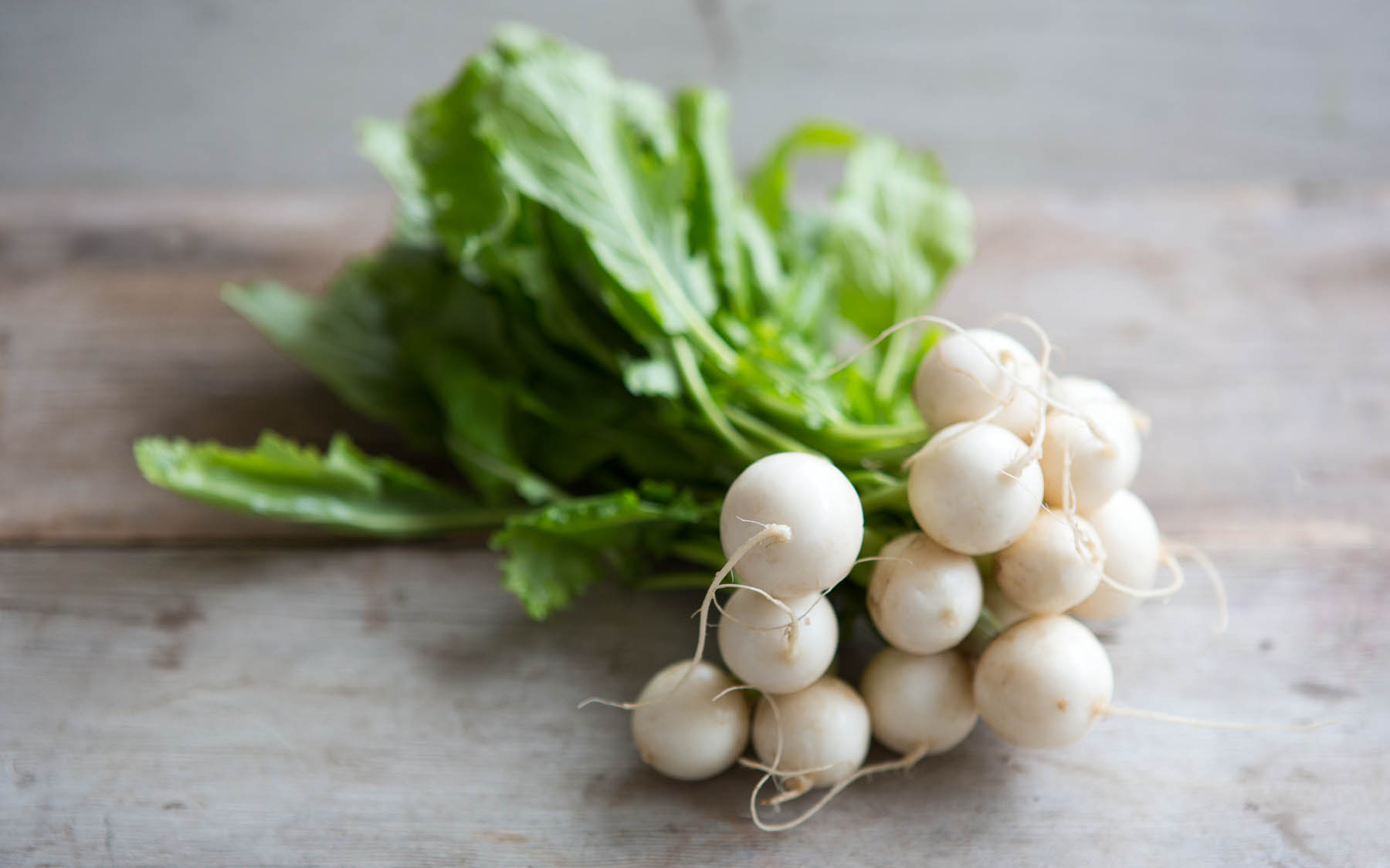Organic Baby White Turnips F.E.E.D. Sonoma SF Bay Good Eggs