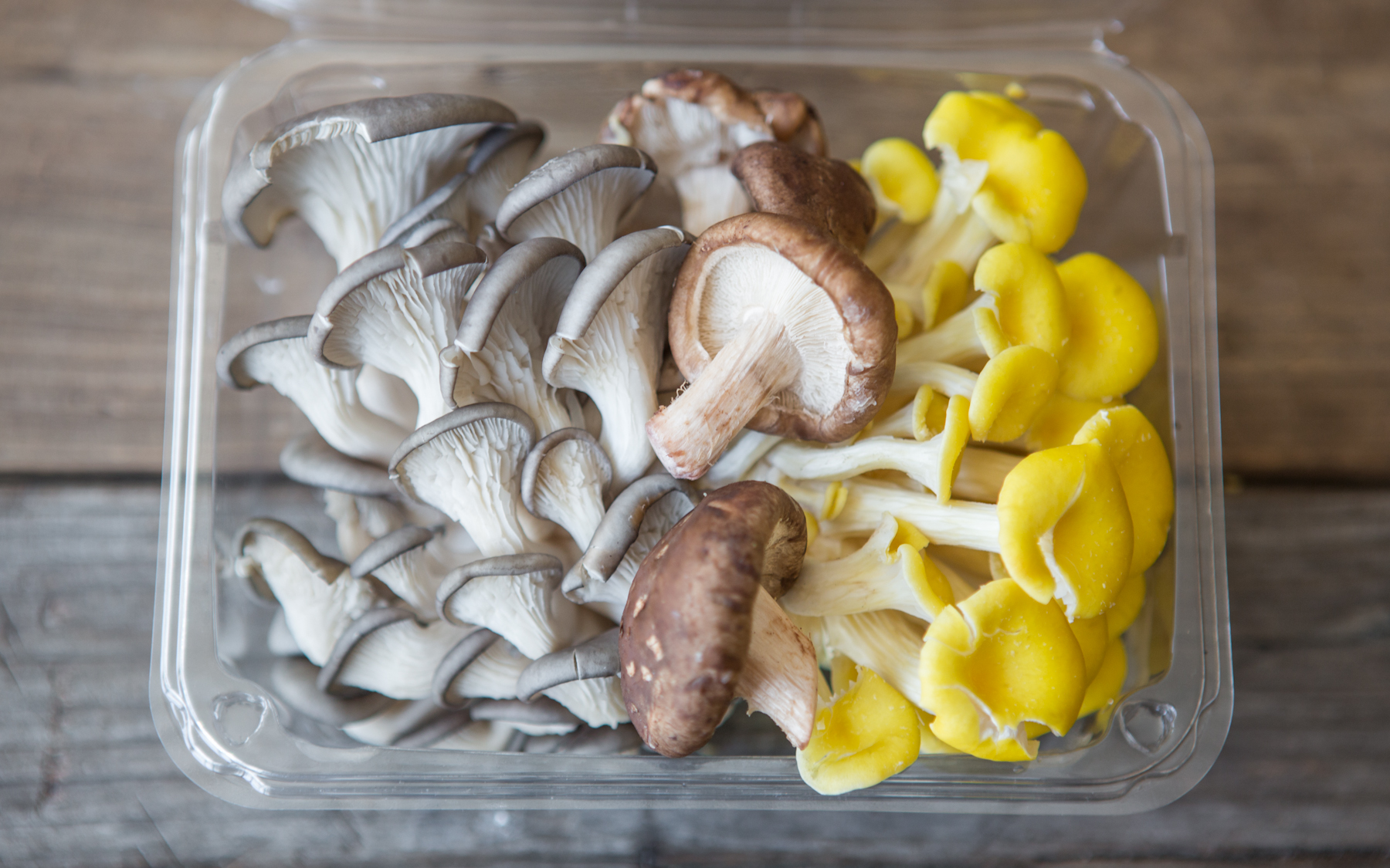 Fresh Organic Exotic Mix Mushrooms Far West Fungi SF Bay Good Eggs