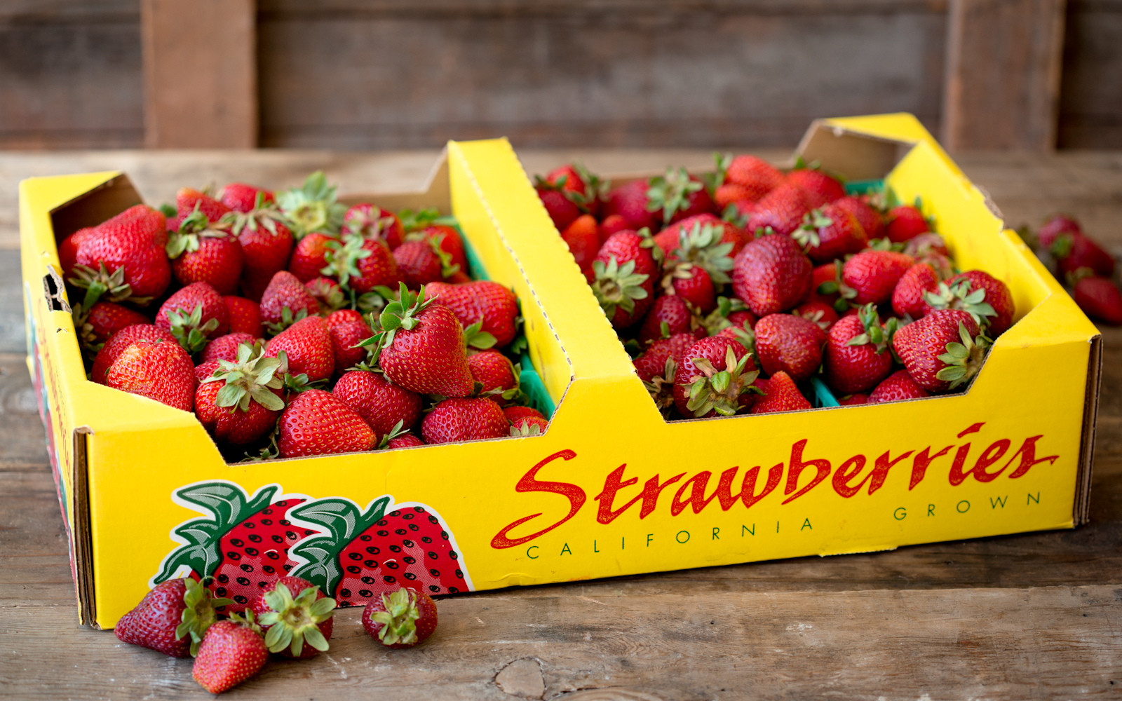 Organic Chandler Strawberry Jamming Flat Swanton Berry Farm SF Bay