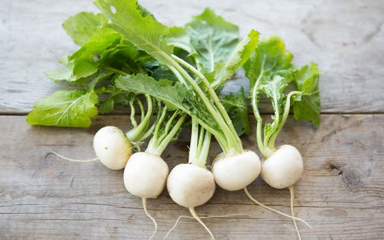 Organic Baby White Turnips Road 20 Farms SF Bay Good Eggs