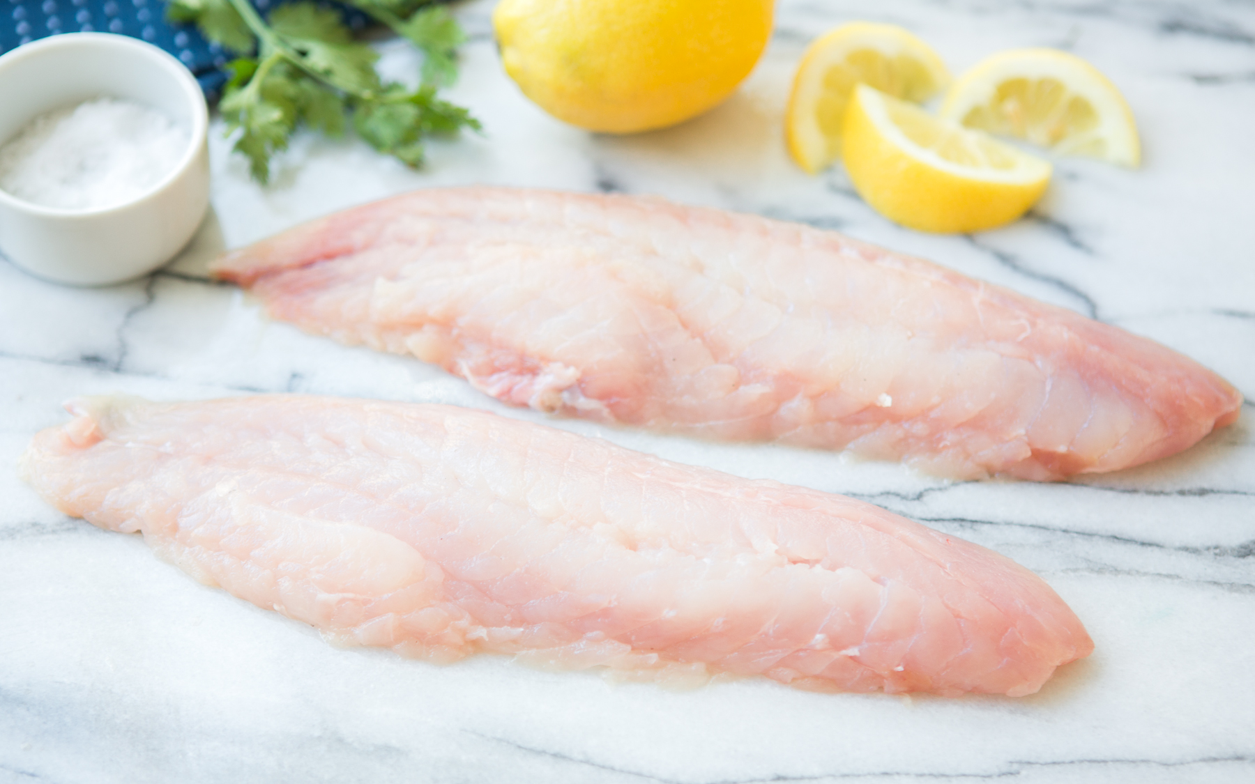 Fresh Wild Rock Cod One Ocean Seafood SF Bay Good Eggs